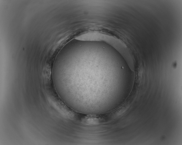 X0000116770228200912171541