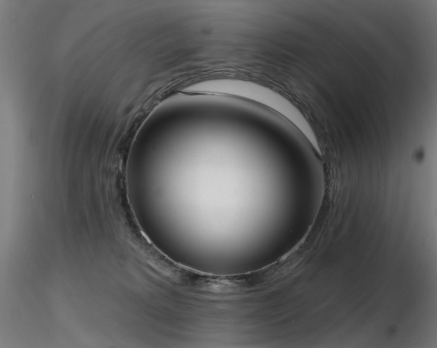 X0000116770229200912171541