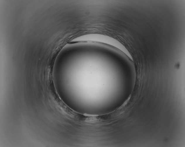 X0000116770231200912171541