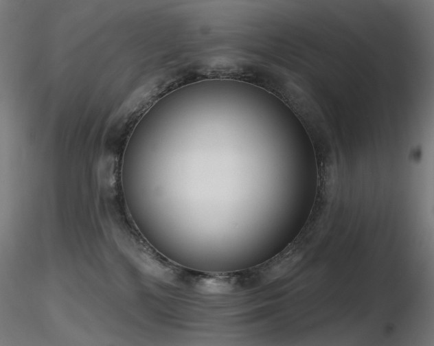 X0000116770232200912171541