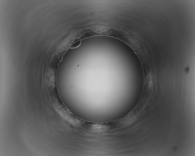 X0000116770234200912171541