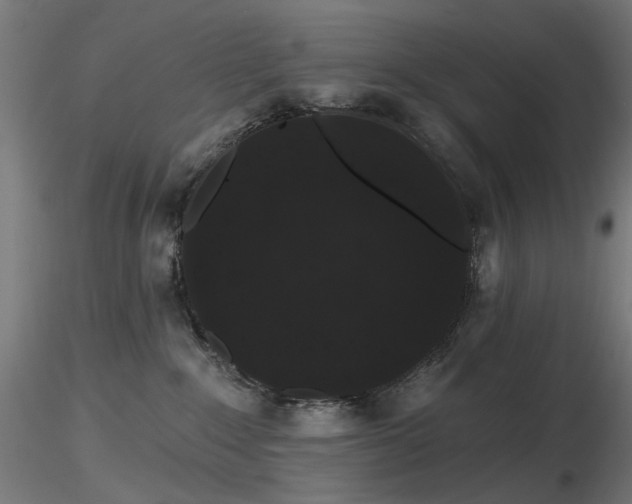 X0000116770235200912171541
