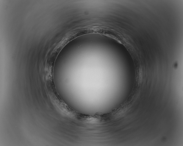 X0000116770236200912171541