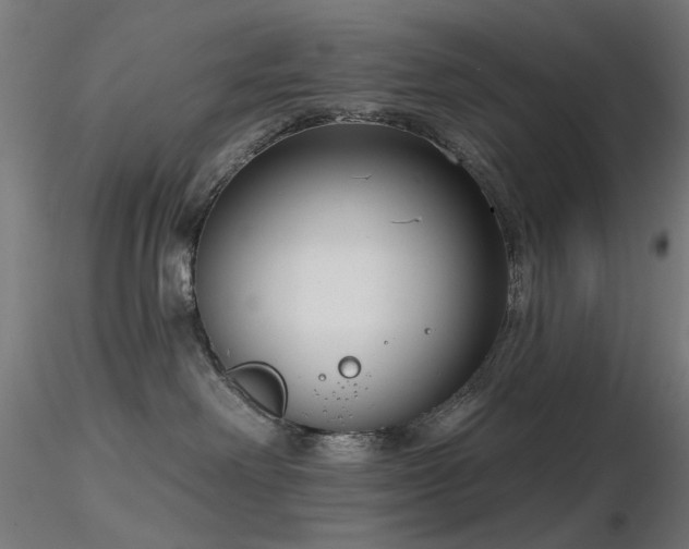 X0000116770238200912171541