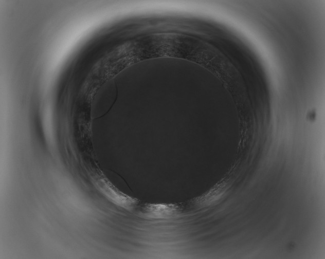 X0000116770239200912171541