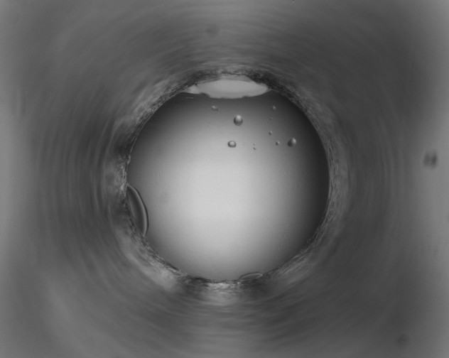 X0000116770240200912171541