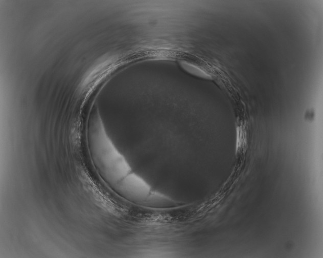 X0000116770243200912171540