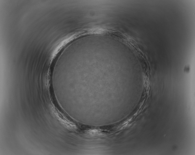 X0000116770244200912171540
