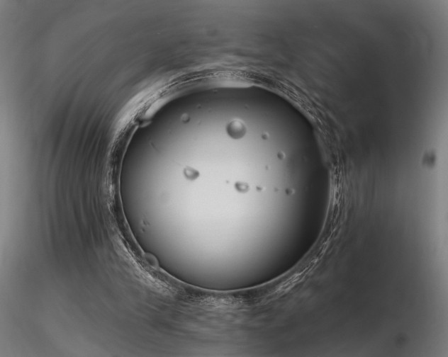 X0000116770245200912171540