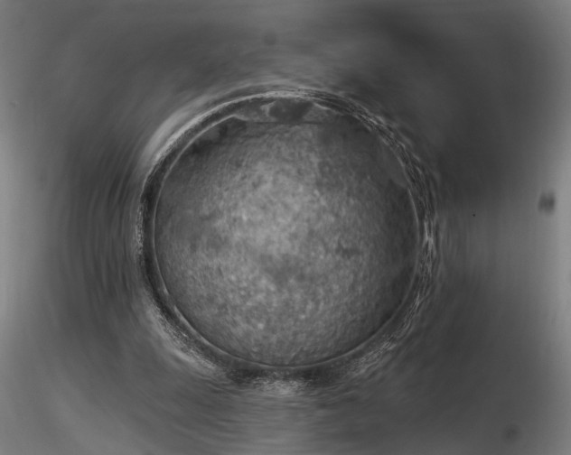 X0000116770247200912171540