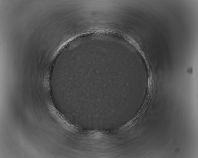 X0000116770249200912171540