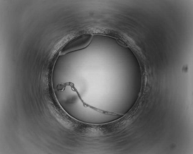 X0000116770250200912171540