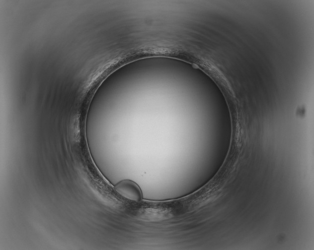 X0000116770251200912171540