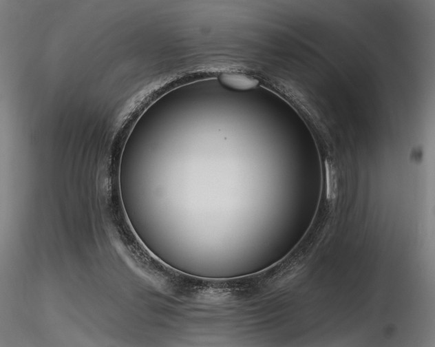 X0000116770252200912171540