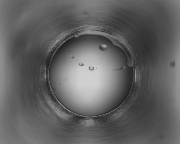 X0000116770253200912171540