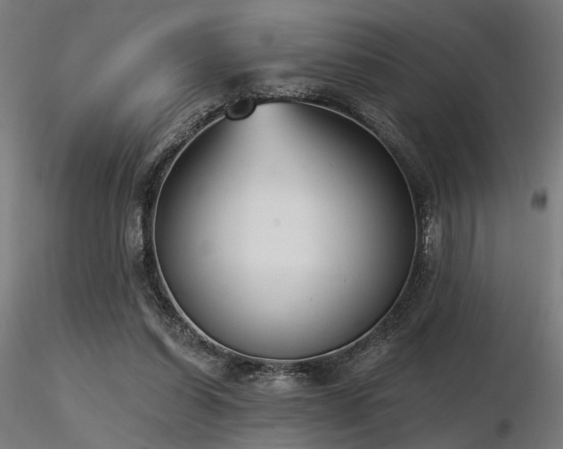 X0000116770254200912171540