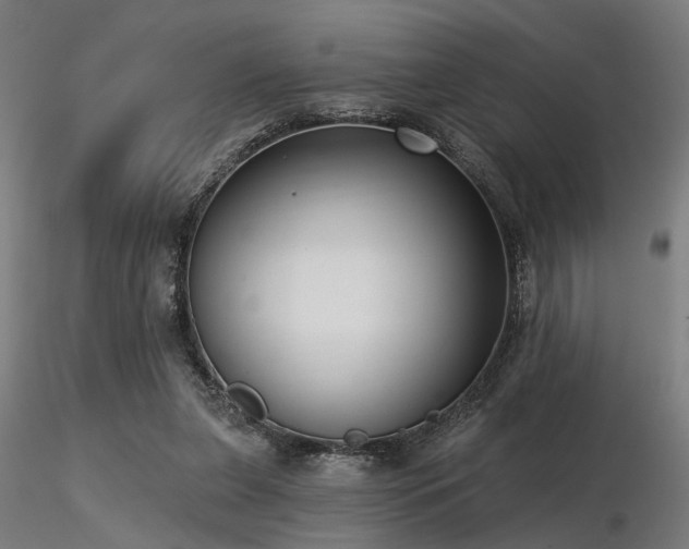 X0000116770255200912171540