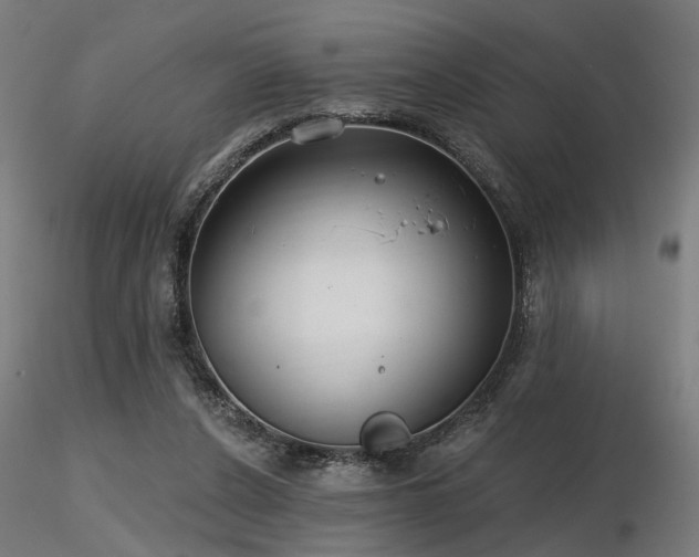 X0000116770256200912171540