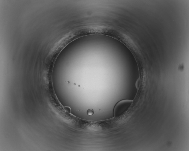 X0000116770258200912171540