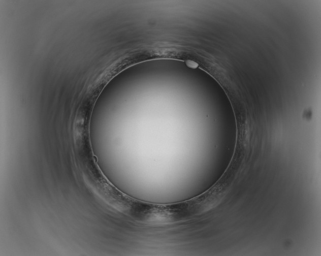 X0000116770263200912171540