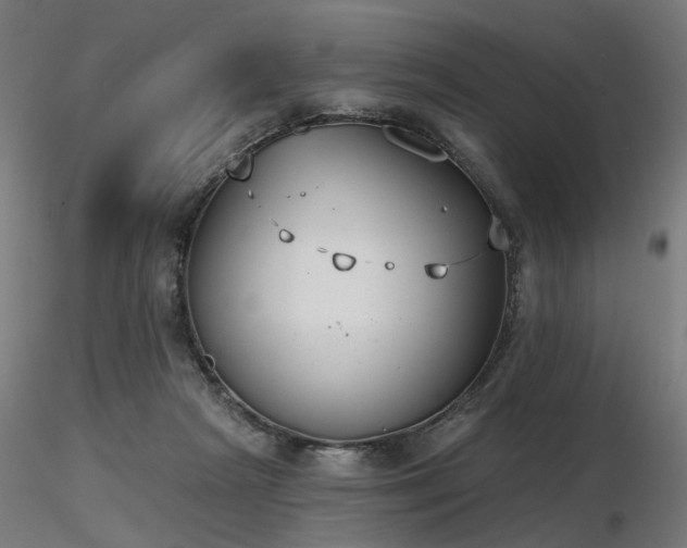 X0000116770265200912171540