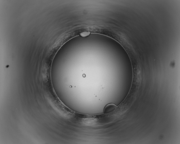 X0000116770266200912171540
