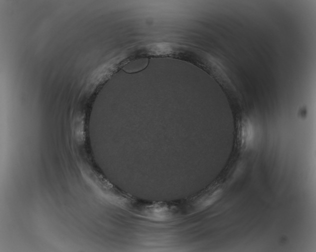 X0000116770267200912171540