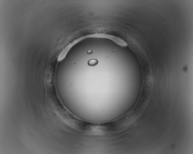 X0000116770268200912171540