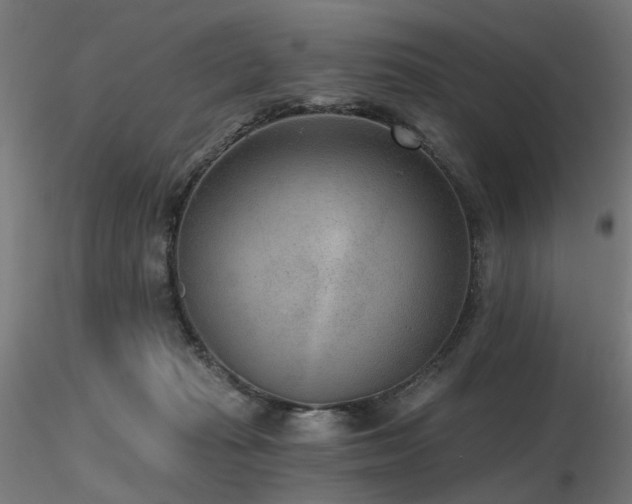 X0000116770269200912171540