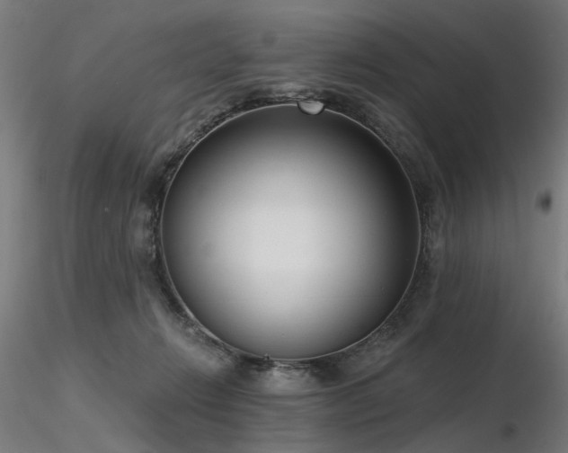 X0000116770270200912171540