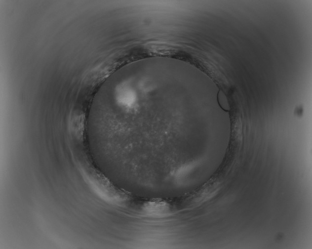 X0000116770271200912171540