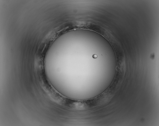 X0000116770272200912171540