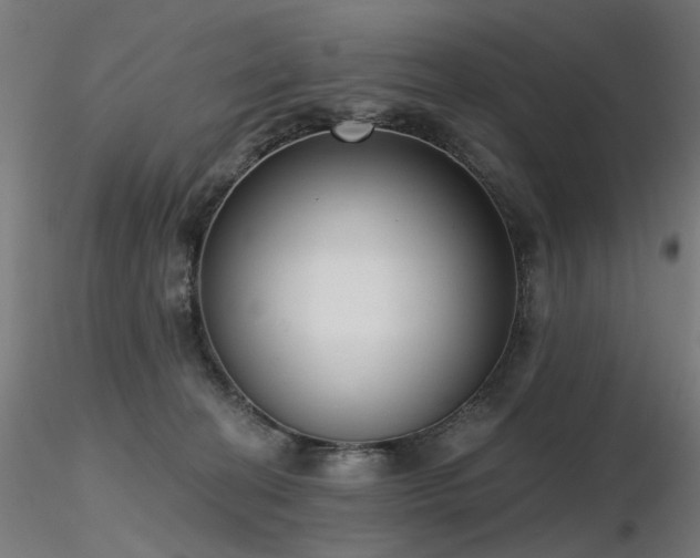 X0000116770274200912171540