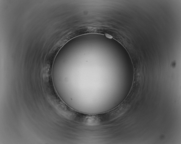X0000116770275200912171540