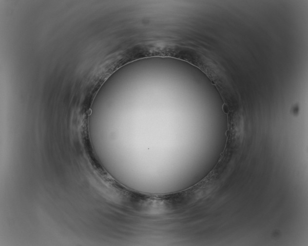X0000116770276200912171540