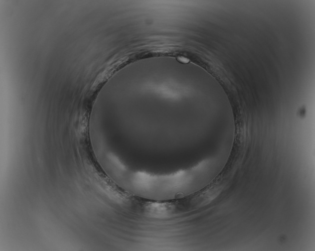X0000116770277200912171540