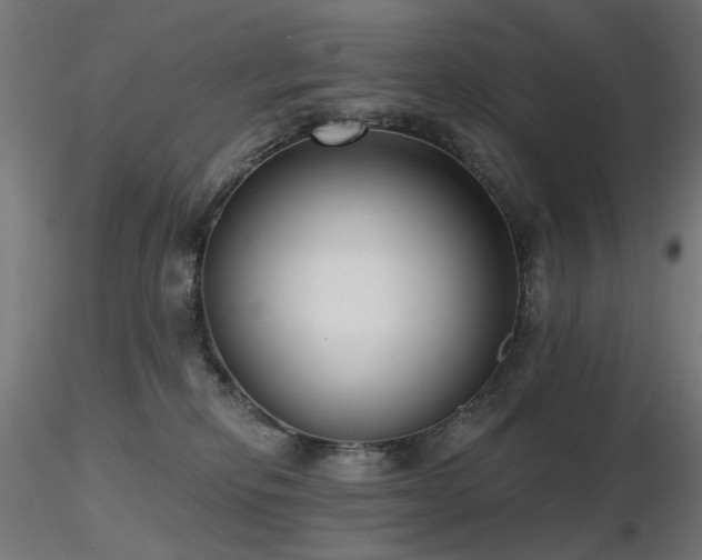 X0000116770278200912171540