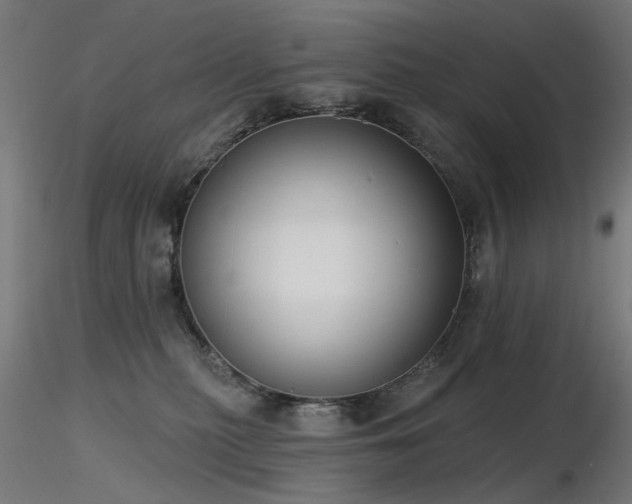 X0000116770279200912171540