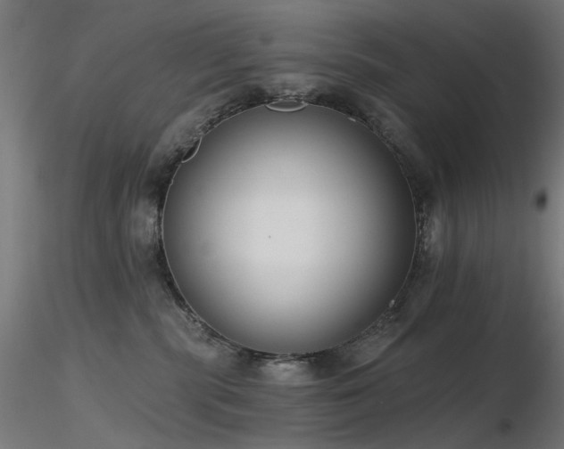 X0000116770283200912171540