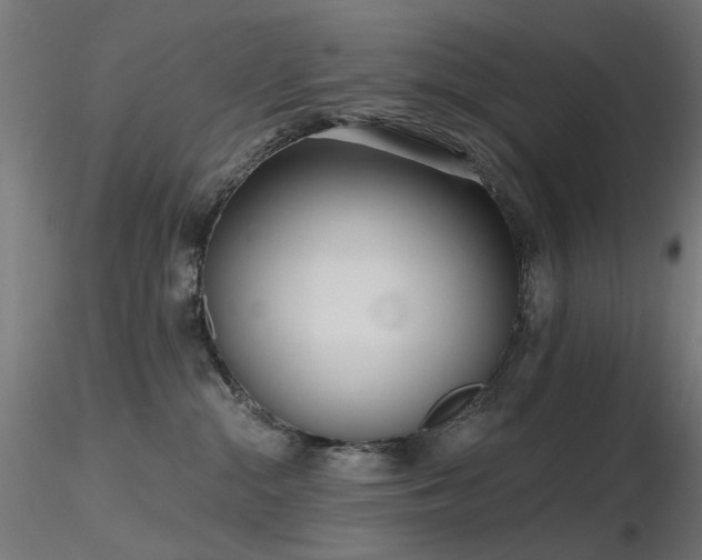 X0000116770284200912171540