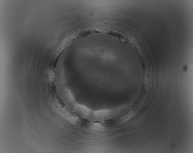 X0000116770285200912171540