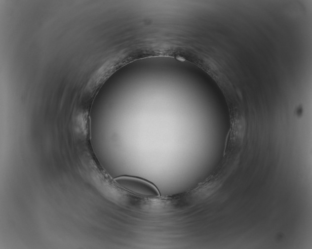 X0000116770286200912171540