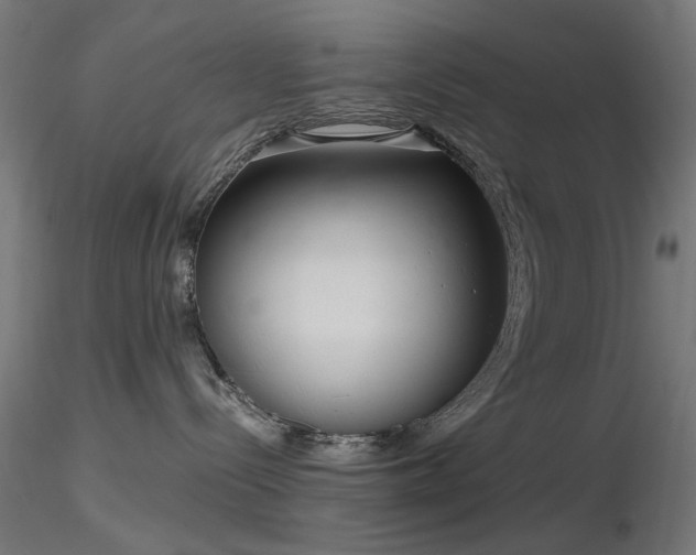 X0000116770288200912171540