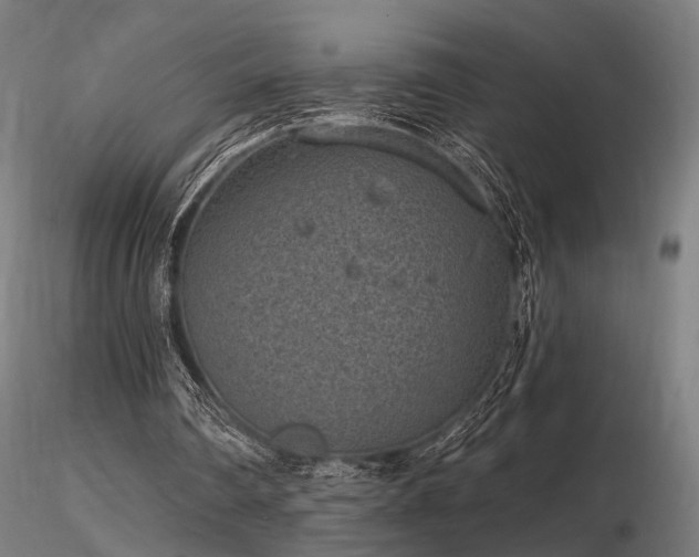 X0000116770290200912171540