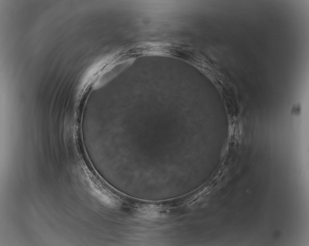 X0000116770293200912171540