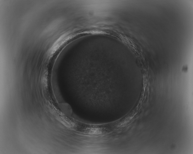 X0000116770295200912171540