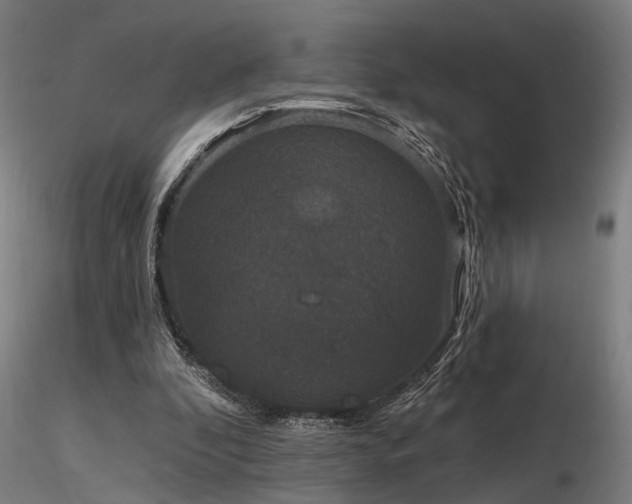 X0000116770296200912171540