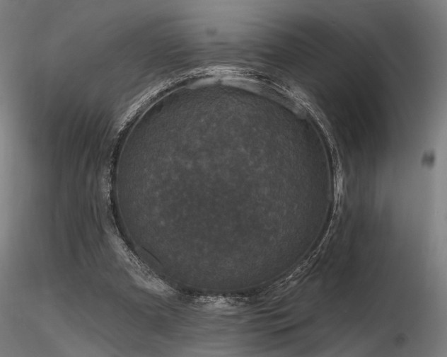 X0000116770297200912171540