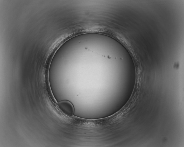 X0000116770298200912171540