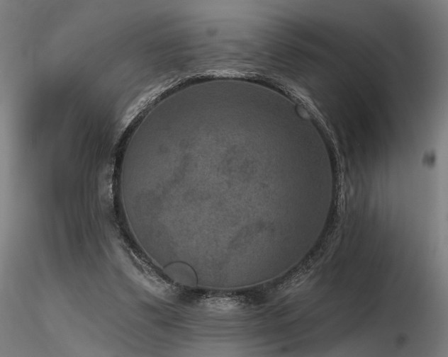 X0000116770299200912171540